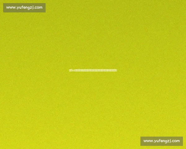 佐罗vs命运之敌巅峰对决揭开力量与信念的终极试炼篇章新时代传奇