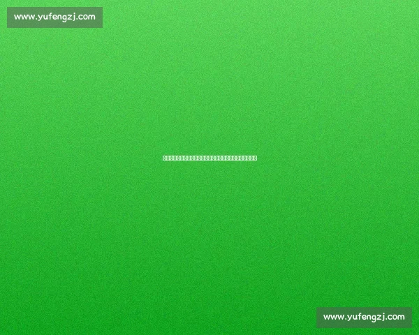 周恩来与毛泽东的关系与中国现代化进程中的协同与冲突分析