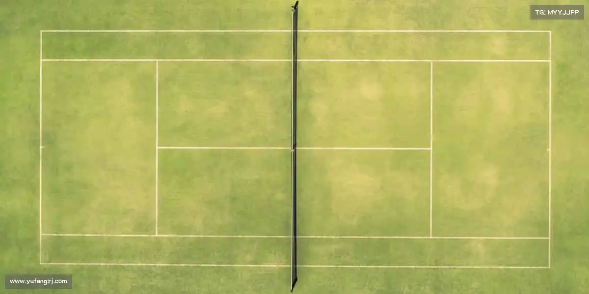 米兰官网运动不止,热爱不息,你的主场由你定义!🏀